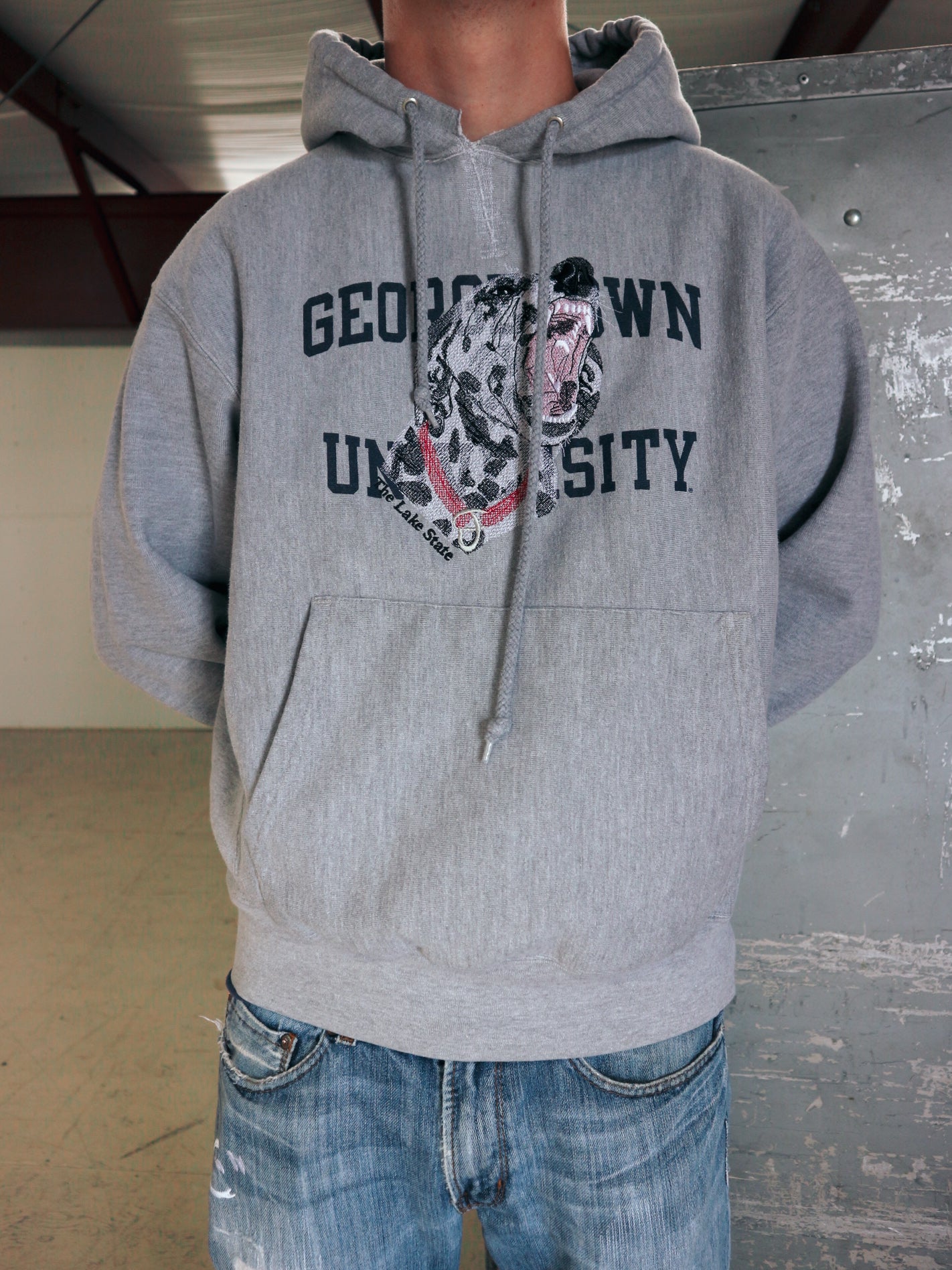 Georgetown Dalmatian (Large)