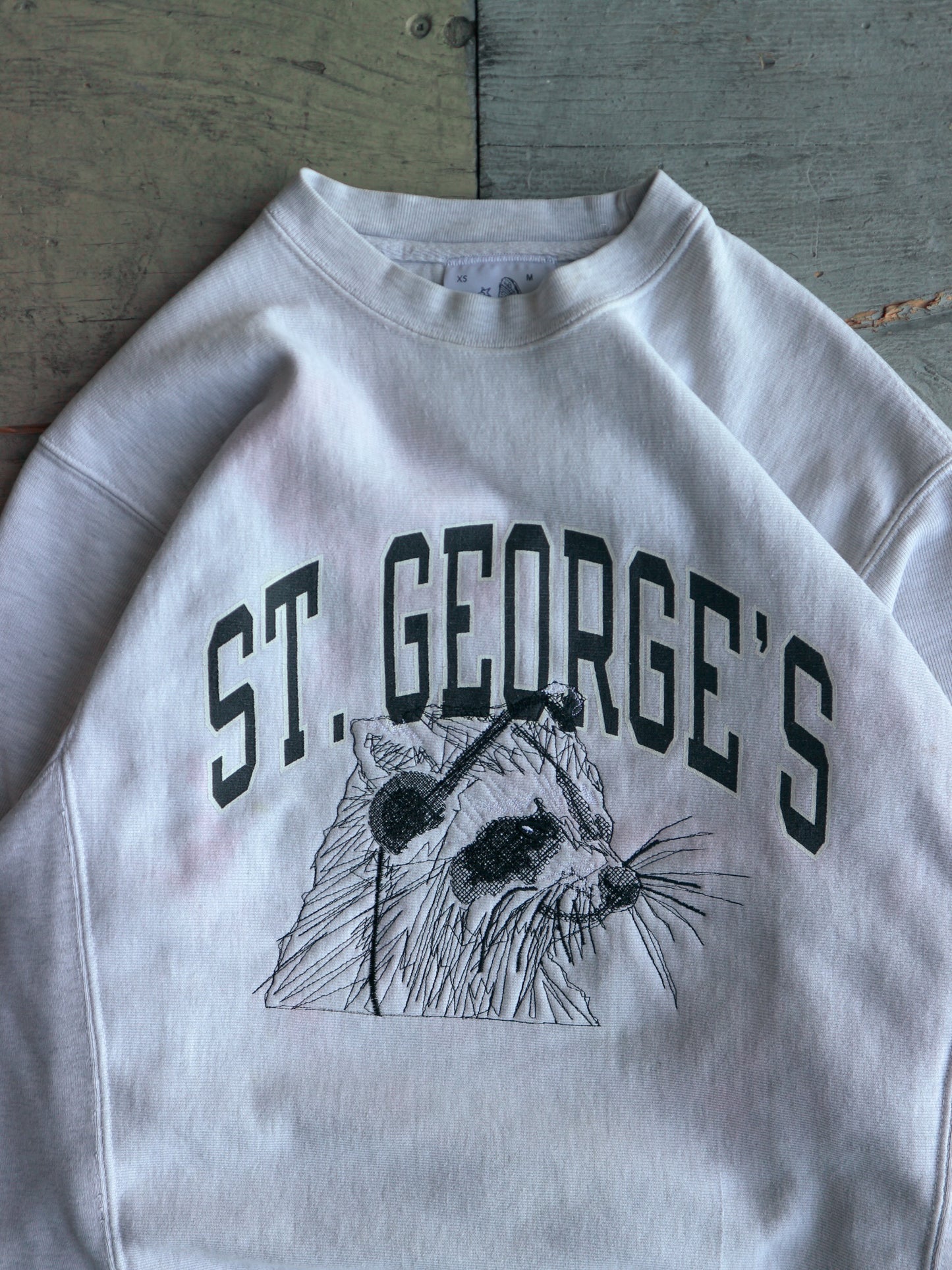 St. George Raccoon (Small)