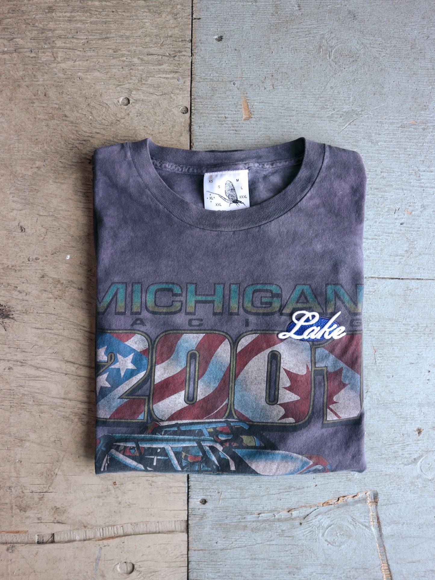 2001 Michigan Racing