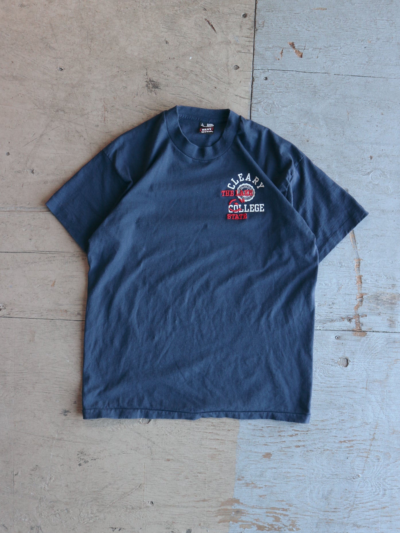 Clearly The Lake State College