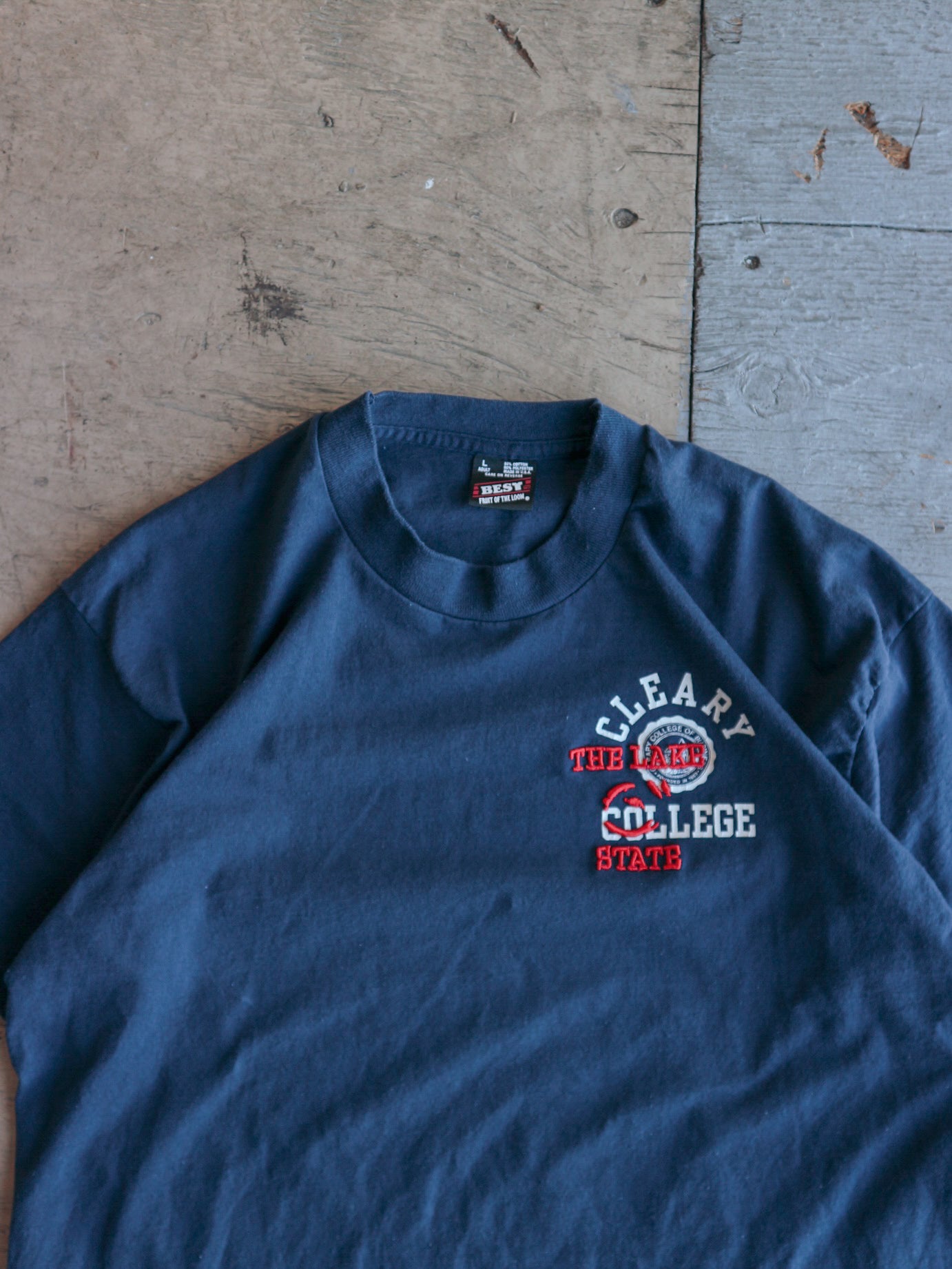 Clearly The Lake State College