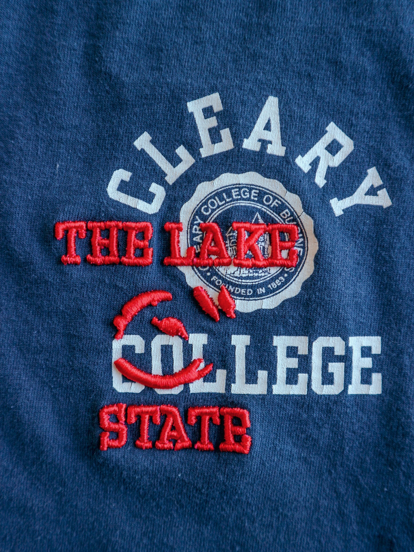 Clearly The Lake State College