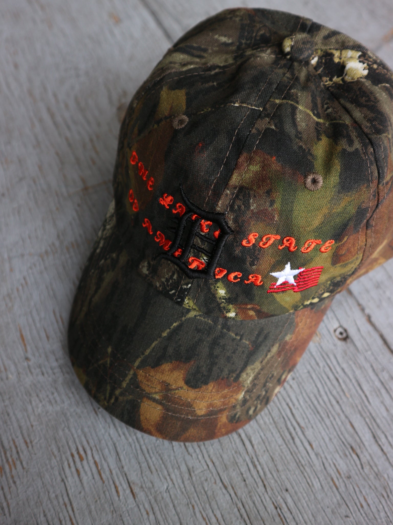 Michigan Detroit Camo hat