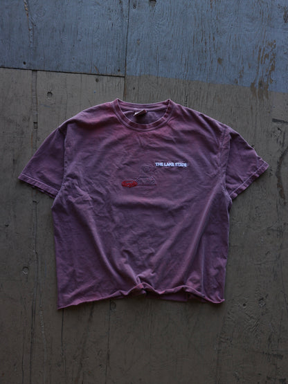 Vintage Wash Red Textured Robin Sample T-shirt