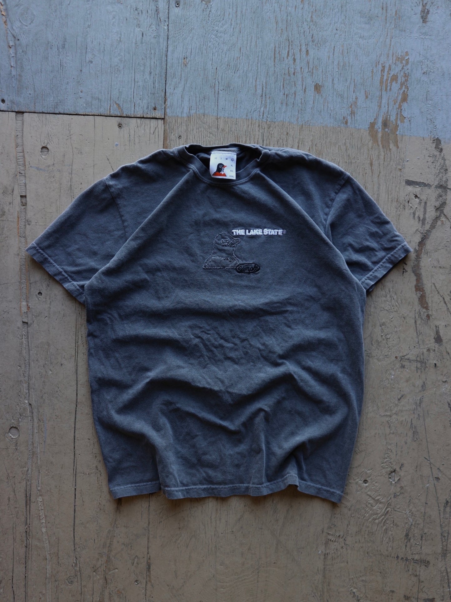 Vintage Wash Black Textured Robin Sample T-shirt